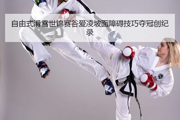 zi-you-shi-hua-xue-shi-jin-sai-gu-ai-ling-po-mian-zhang-ai-ji-qiao-duo-guan-chuang-ji-lu-2-788.jpg